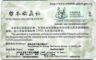 華南虎收藏證背面