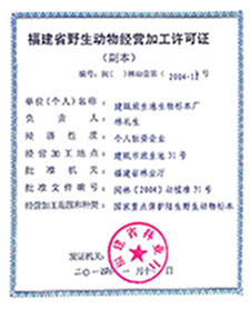 更新許可證